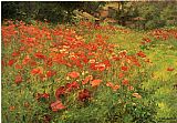 In Poppyland
